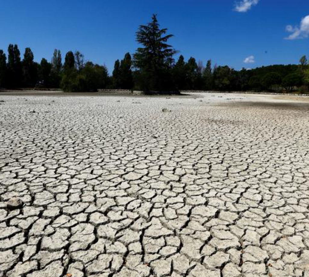 【食糧危機】世界中が干ばつ食糧危機は避けられない それよりも水不足が…
